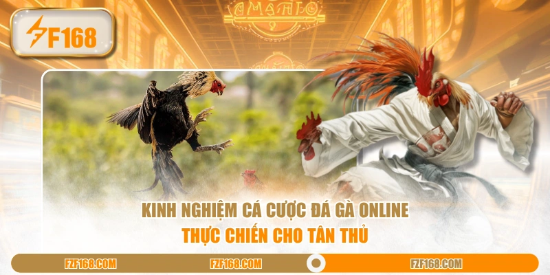 Kinh nghiệm cá cược đá gà online thực chiến cho tân thủ